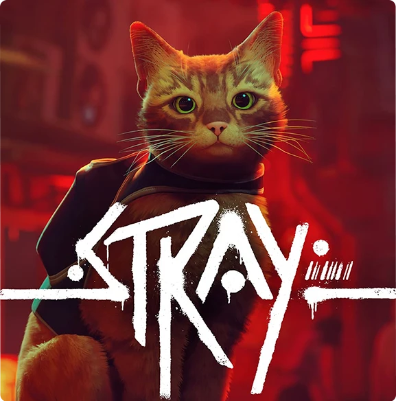 Stray Global
